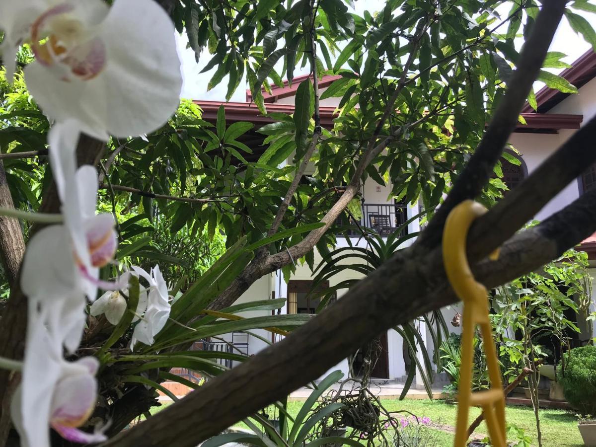 Green Edge Residences ดัมบูลลา ภายนอก รูปภาพ